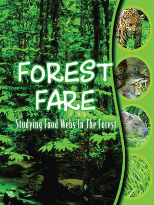 cover image of Forest Fare